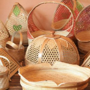 Bamboo
