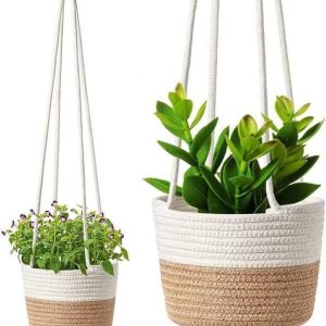 Cane Product